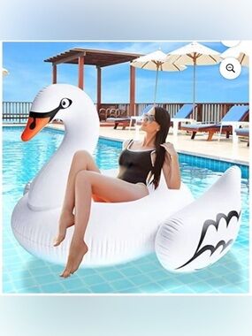 🦢Giant Inflatable Swan Pool Float, Heavy Duty Vinyl PVC